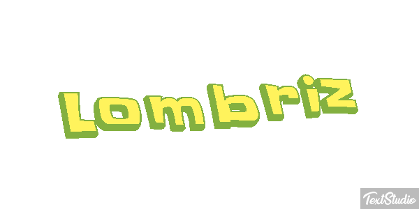 Lombriz Tekst effect