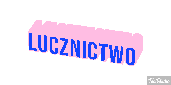 Łucznictwo Efekt tekstowy