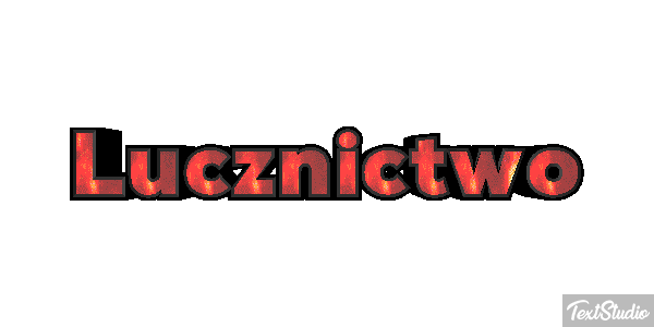 Łucznictwo Efekt tekstowy