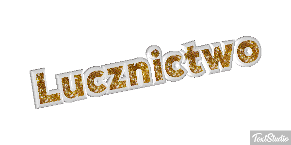 Łucznictwo Efekt tekstowy