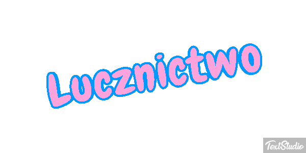 Łucznictwo Efekt tekstowy
