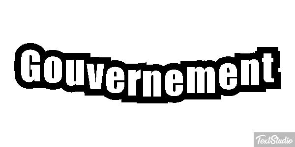 Gouvernement Metin efekti