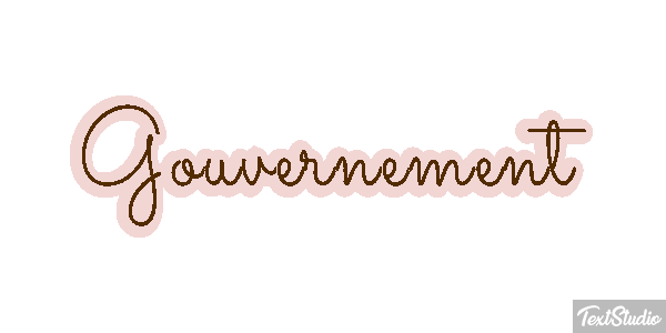 Gouvernement Metin efekti