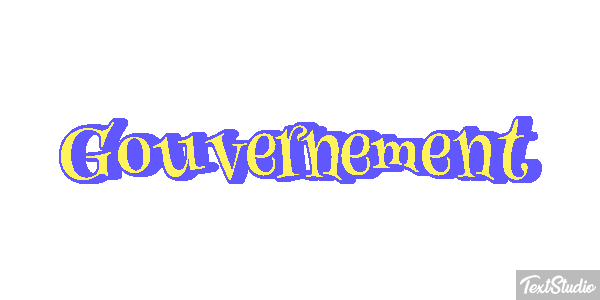 Gouvernement Metin efekti