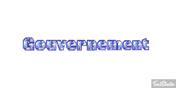 Gouvernement Metin efekti