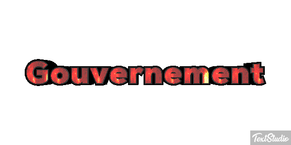 Gouvernement Metin efekti