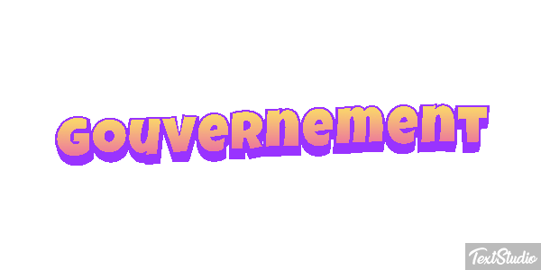 Gouvernement Metin efekti