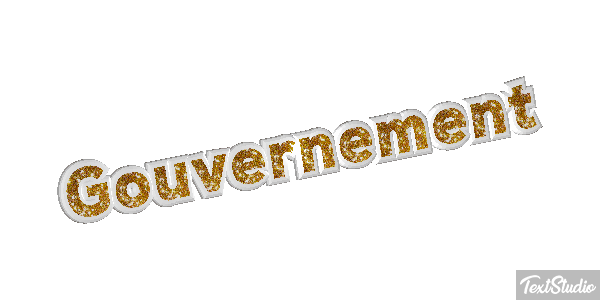 Gouvernement Metin efekti