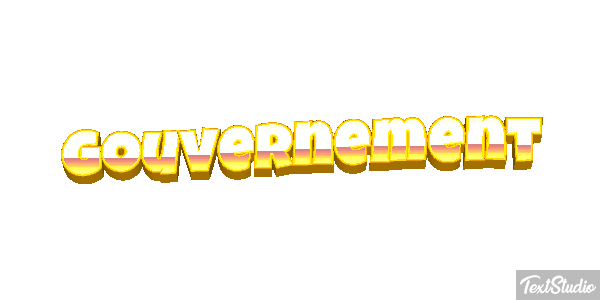 Gouvernement Metin efekti