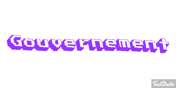 Gouvernement Metin efekti
