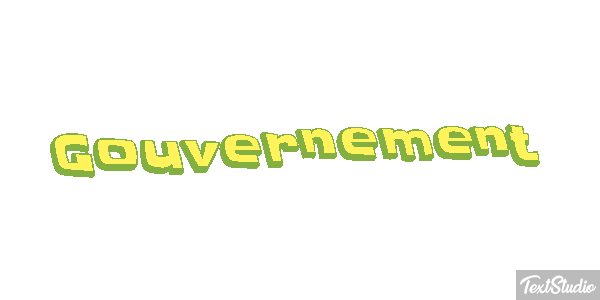 Gouvernement Metin efekti