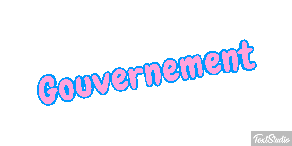 Gouvernement Metin efekti