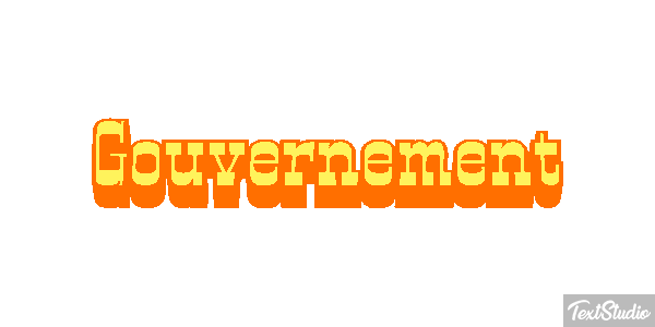 Gouvernement Metin efekti