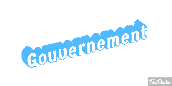 Gouvernement Metin efekti