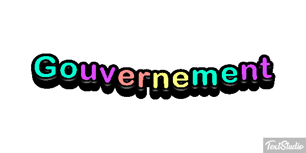 Gouvernement Metin efekti