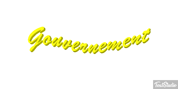 Gouvernement Metin efekti