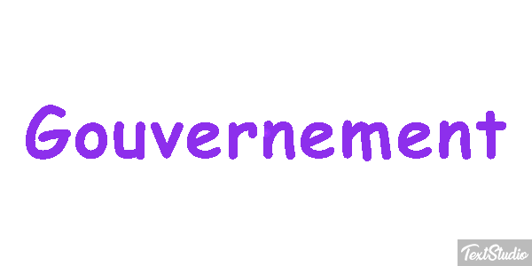 Gouvernement Metin efekti