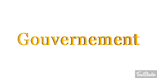 Gouvernement Metin efekti