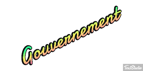 Gouvernement Metin efekti