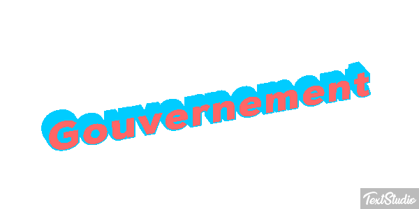 Gouvernement Metin efekti