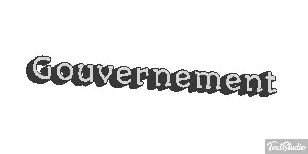 Gouvernement Metin efekti