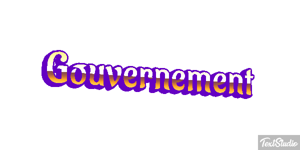 Gouvernement Metin efekti