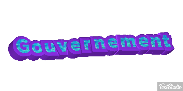 Gouvernement Metin efekti
