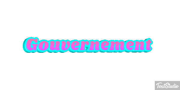 Gouvernement Metin efekti