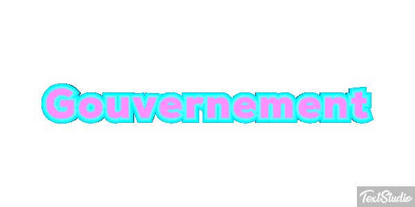 Gouvernement Metin efekti