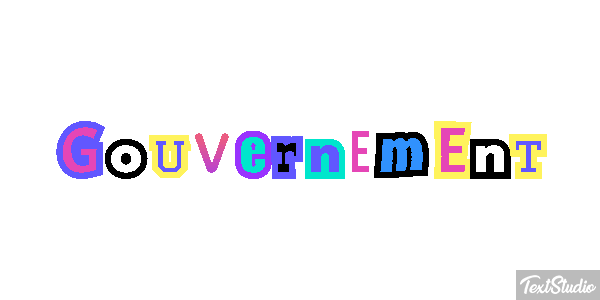 Gouvernement Metin efekti
