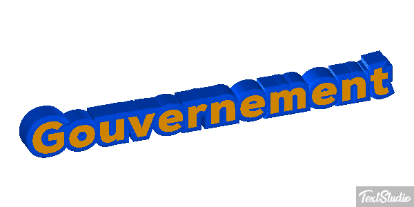 Gouvernement Metin efekti