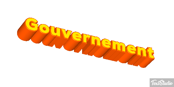 Gouvernement Metin efekti