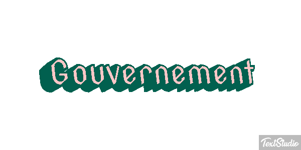 Gouvernement Metin efekti