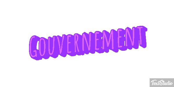 Gouvernement Metin efekti