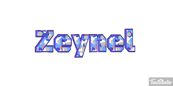 Zeynel Tekst effect