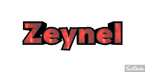 Zeynel Tekst effect