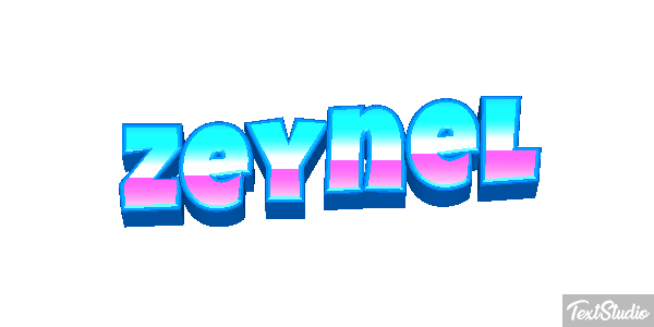 Zeynel Tekst effect