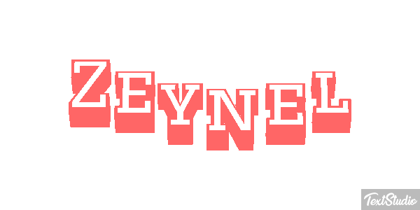 Zeynel Tekst effect