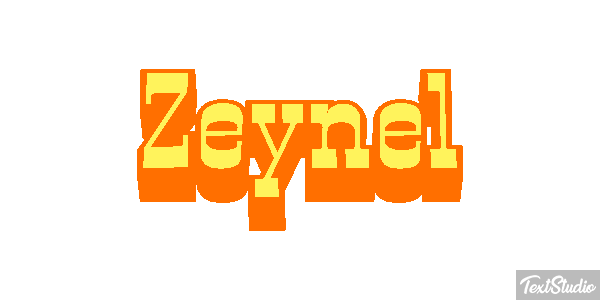 Zeynel Tekst effect