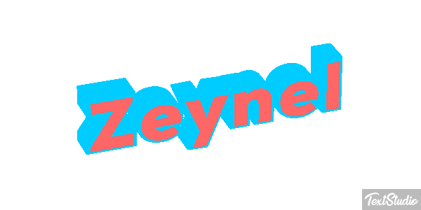 Zeynel Tekst effect