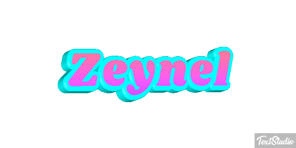 Zeynel Tekst effect