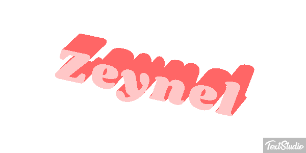 Zeynel Tekst effect