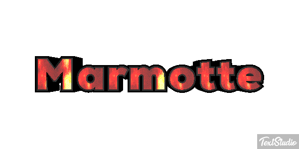 Marmotte Text effect