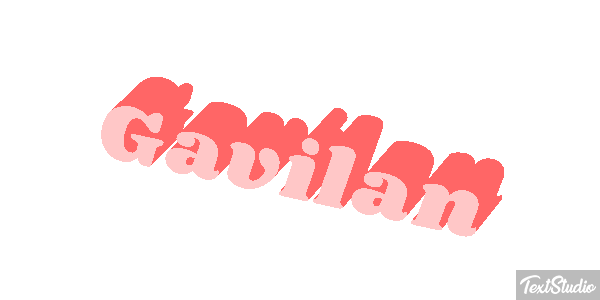 Gavilán Effet de texte