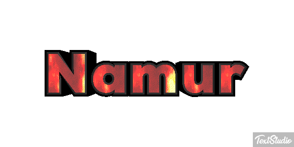 Namur Efekt tekstowy