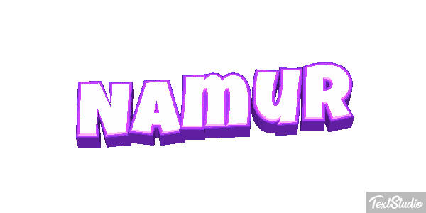 Namur Efekt tekstowy