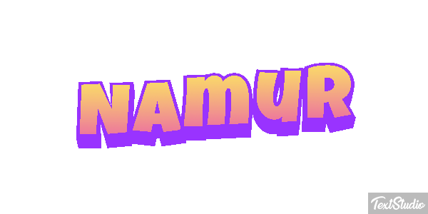 Namur Efekt tekstowy