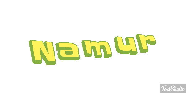 Namur Efekt tekstowy