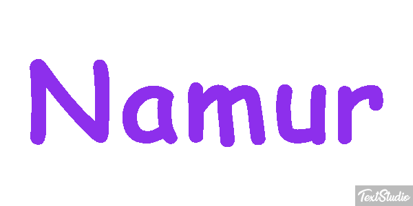 Namur Efekt tekstowy