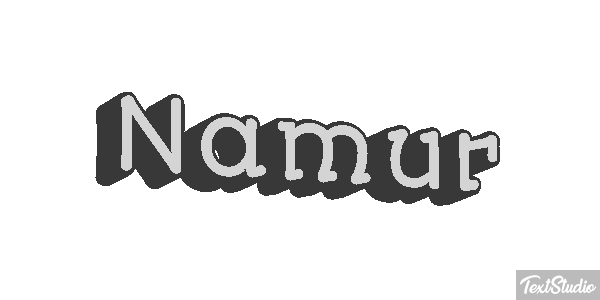 Namur Efekt tekstowy